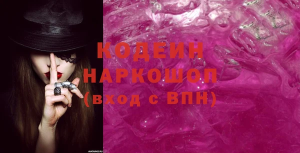 хмурый Алексин