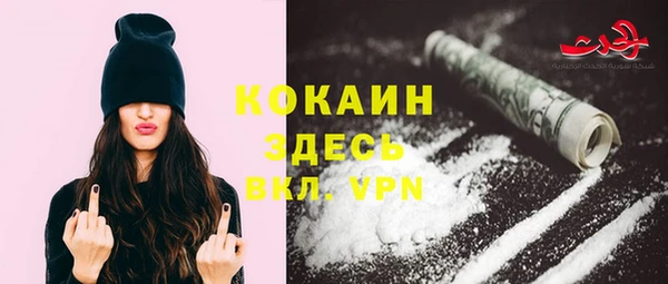 хмурый Алексин