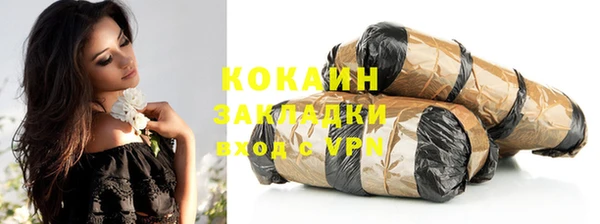 шишки Алзамай