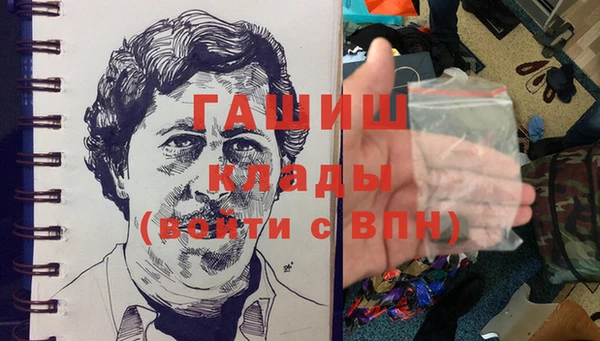 хмурый Алексин