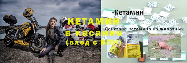 хмурый Алексин