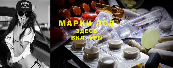 шишки Алзамай
