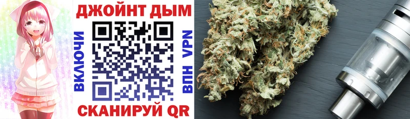 Каннабис SATIVA & INDICA  Купить где  Свободный 
